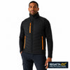 Pro Universal Bodywarmer - model wearing the black and orange pop Regatta bodywarmer