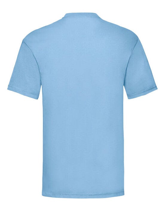 Men's Valueweight T - Sky Blue (2)