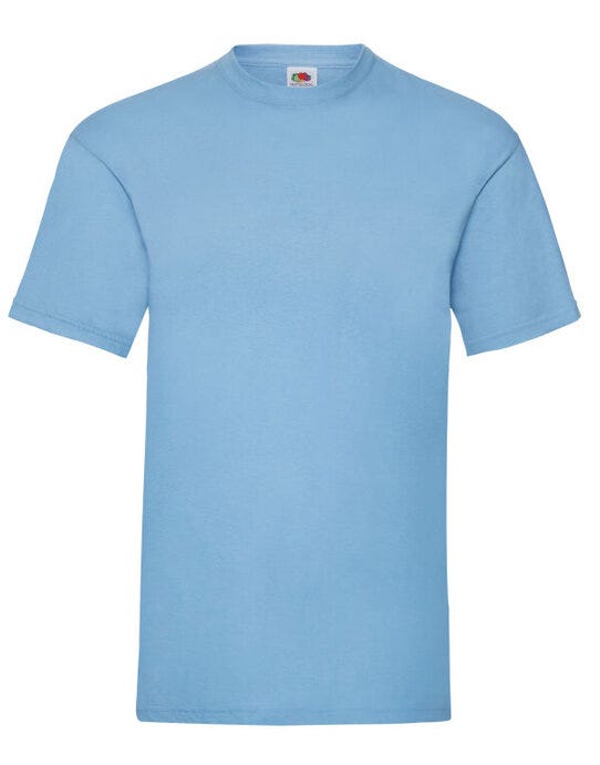 Men's Valueweight T - Sky Blue