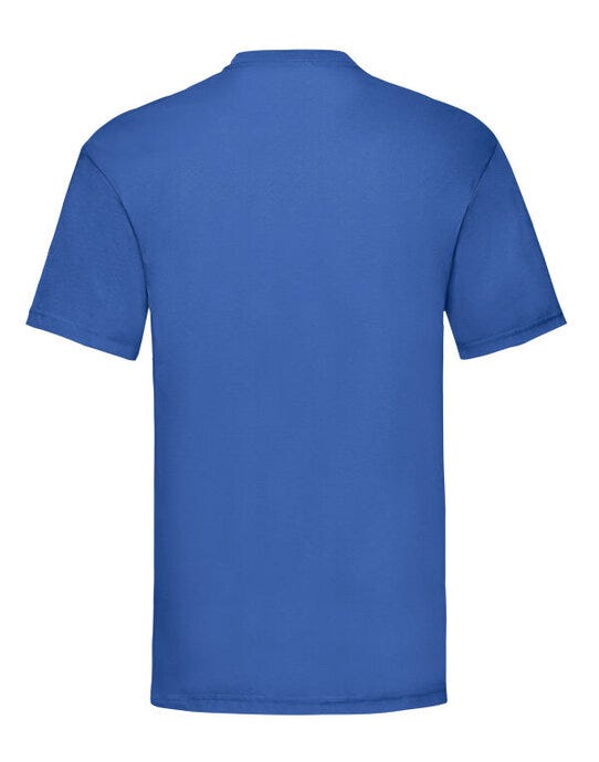Men's Valueweight T - Royal (2)