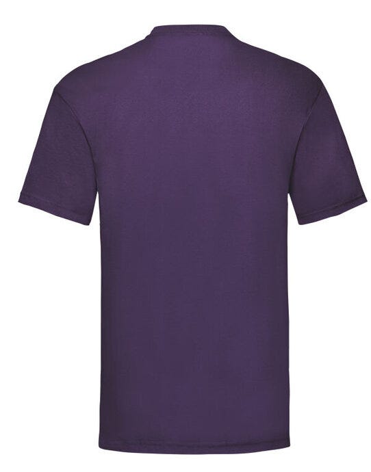 Men's Valueweight T - Purple (2)