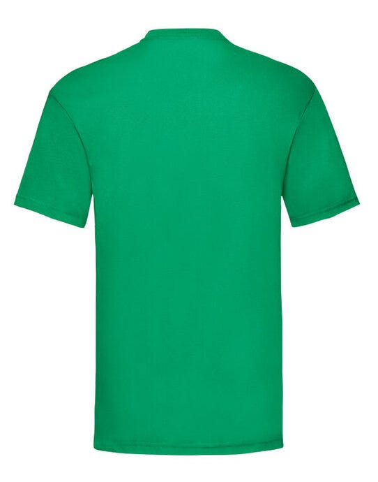 Men's Valueweight T - Kelly Green (2)