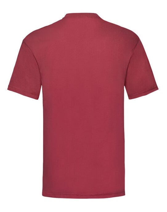 Men's Valueweight T - Brick Red (2)
