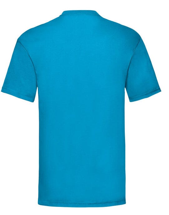 Men's Valueweight T - Azure Blue (2)