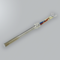 Elemento calefactor WP 80