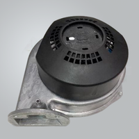 V200 Replacement Pump