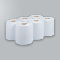 Rollos de papel de alimentación central de color blanco, 2 capas, paquete de 6