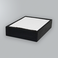 HEPA Filter - DentalPRO 250/400