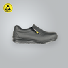 PUBLIUS ESD Safety Shoe